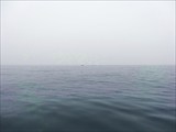 Охотское Море 146